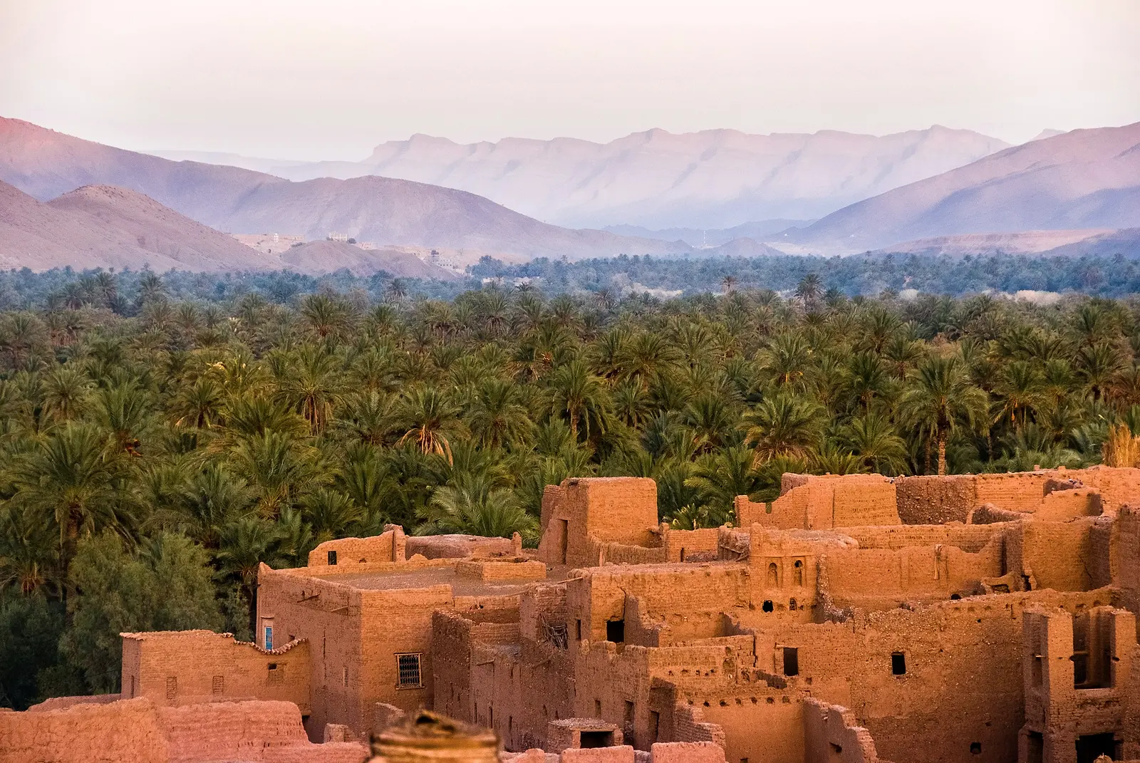 Palmeraie et kasbahs du Sud-Est marocain